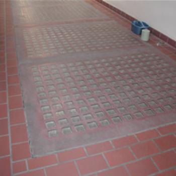 Louis Agassiz School floor (interior)